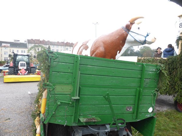 70-Jahr Feier LJ NÖ