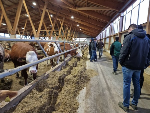 Betriebsbesichtigung Milchhof Ernd