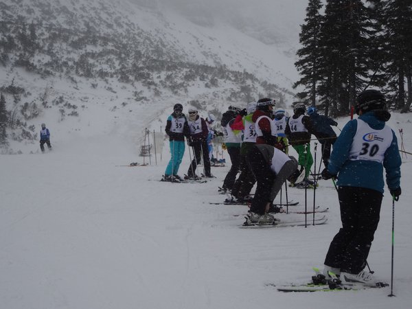 Alpine Skimeisterschaften