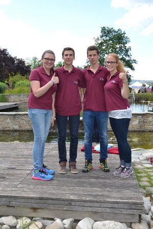 Landesentscheid Go4it