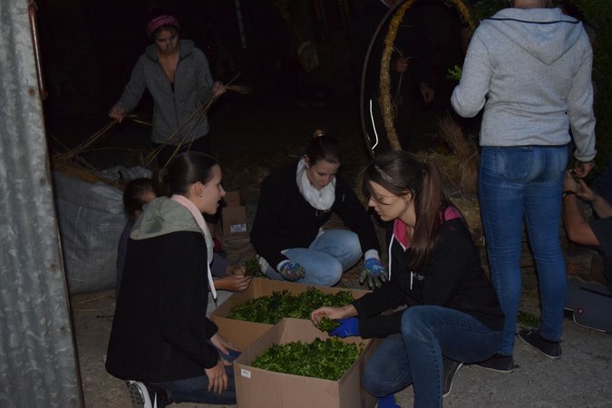 Bezirkserntedankfest